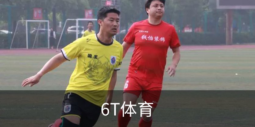 了解6T体育